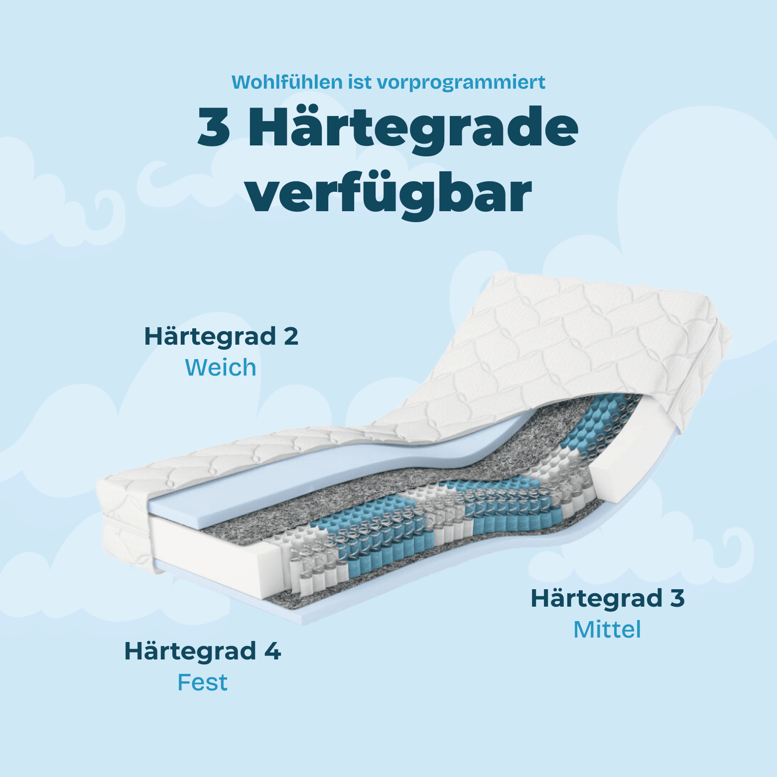 Wolkenreich Federkernmatratze Premium Dream - 3 Härtegrade